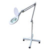 CAPG091 Floor Lamps